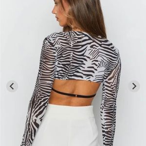 Lioness zebra bra top